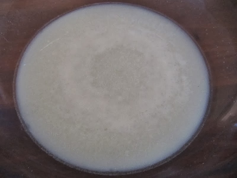 yeast blooming in a bowl. 