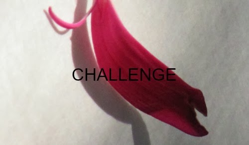 Word of the Year: CHALLENGE