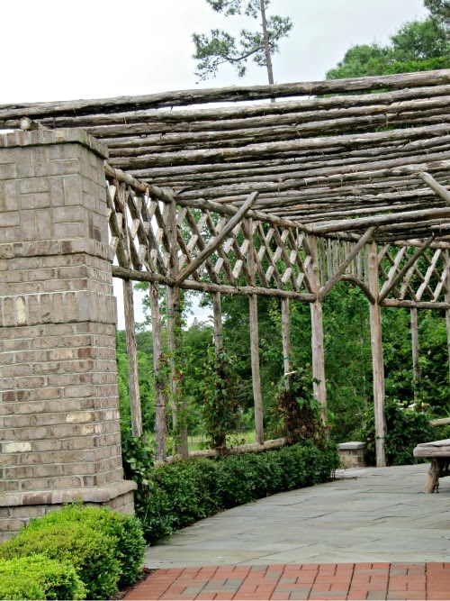Pinehurst Arboretum Visit