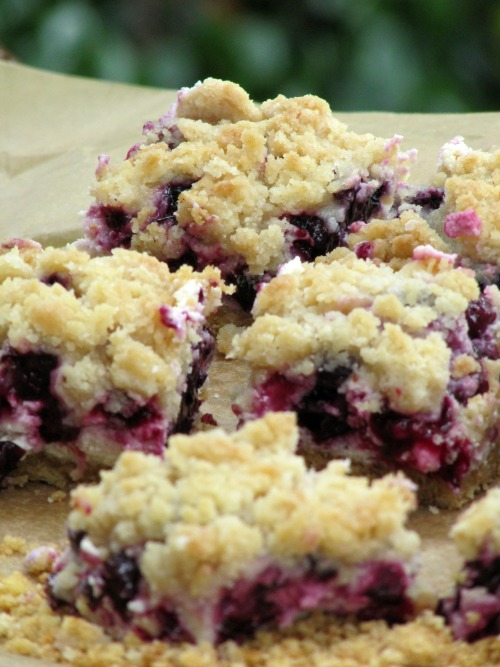 blueberry-cheesecake-bars-graham-cracker-crust.