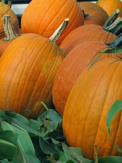 farmers-market-pumpkins.jpg