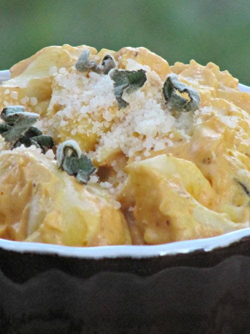Pumpkin Tortellini and the Comfort Foods Of Fall