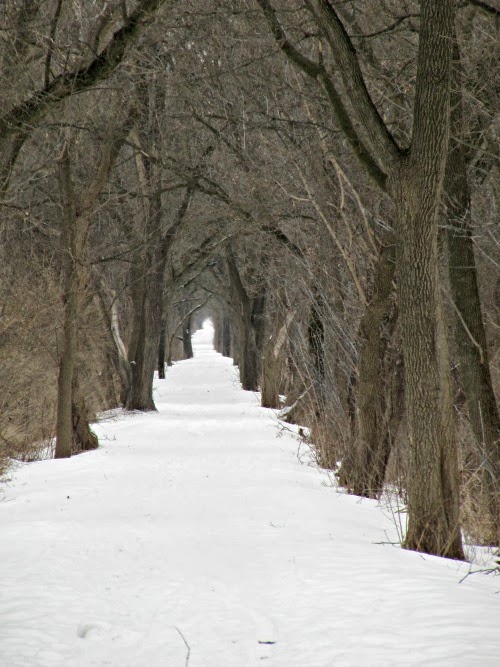  Intentional living after 50 simple daily rituals outdoors.