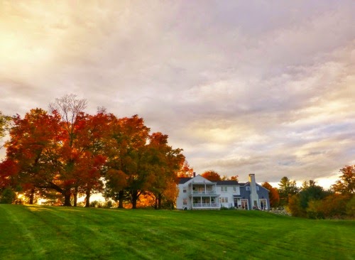 Friday Favorites from The Painted Hive, Linen and Lavender, It’s Overflowing, For the Love of a House and More!