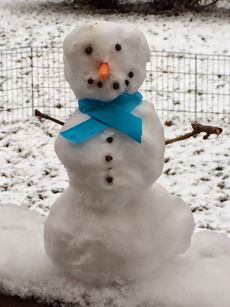 Friday favorites from Half Baked Harvest, Tongue in Cheek, Heather Cristo and This is Glamerous