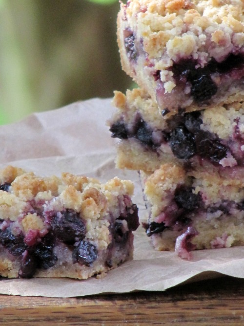 Blueberry crumble bars. 