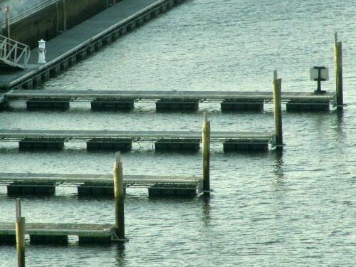 water-docks.jpg