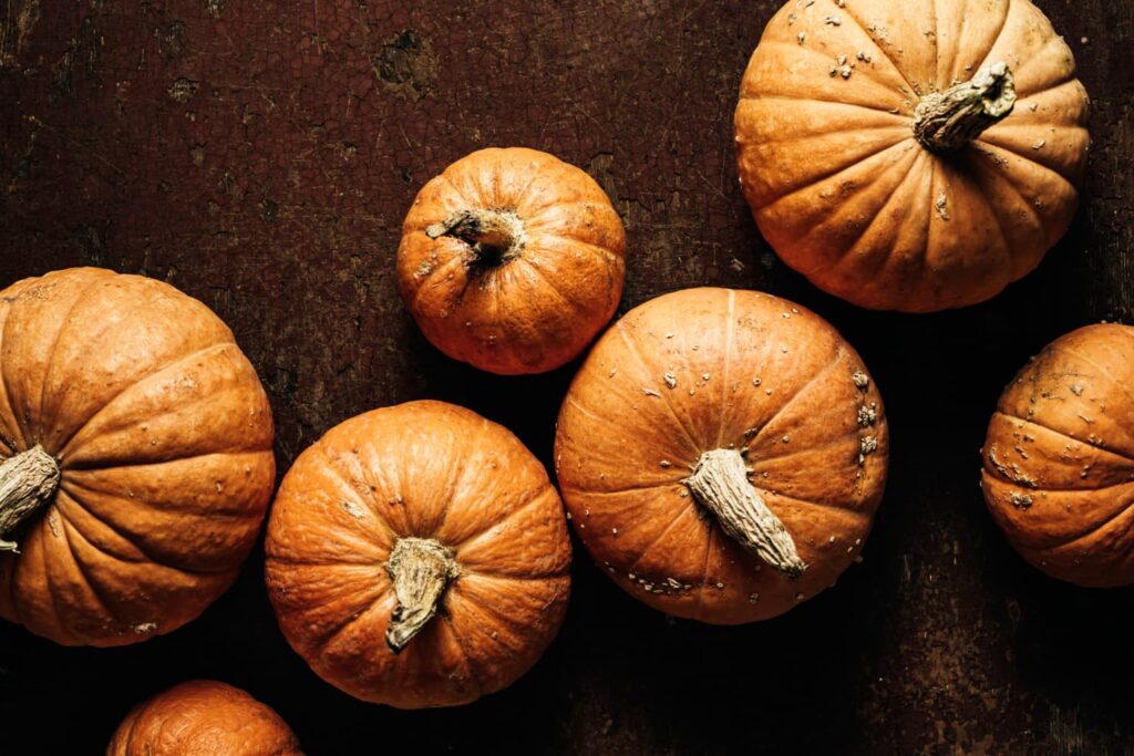 An assortment of pumpkins