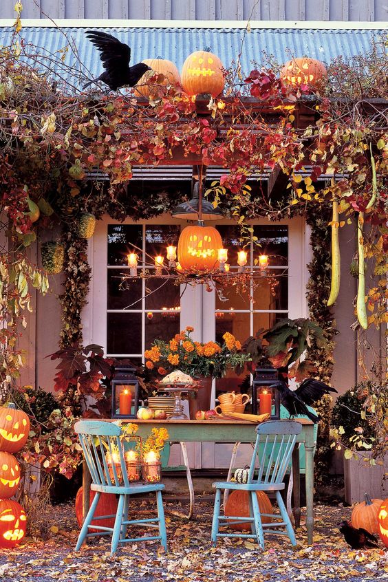 Fun Fall Decor and Finds