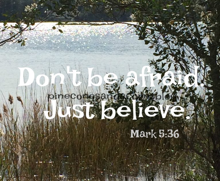 Silent Sunday 11-04-2018