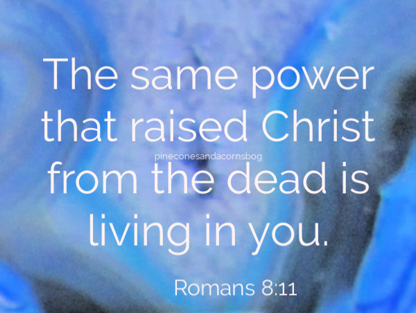 Silent Sunday 1-12-2019