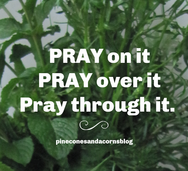 Pray-Quote