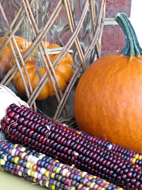Pumpkins, Indian Corn,