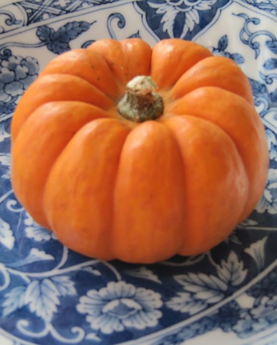 Orange Mini-pumpkin
