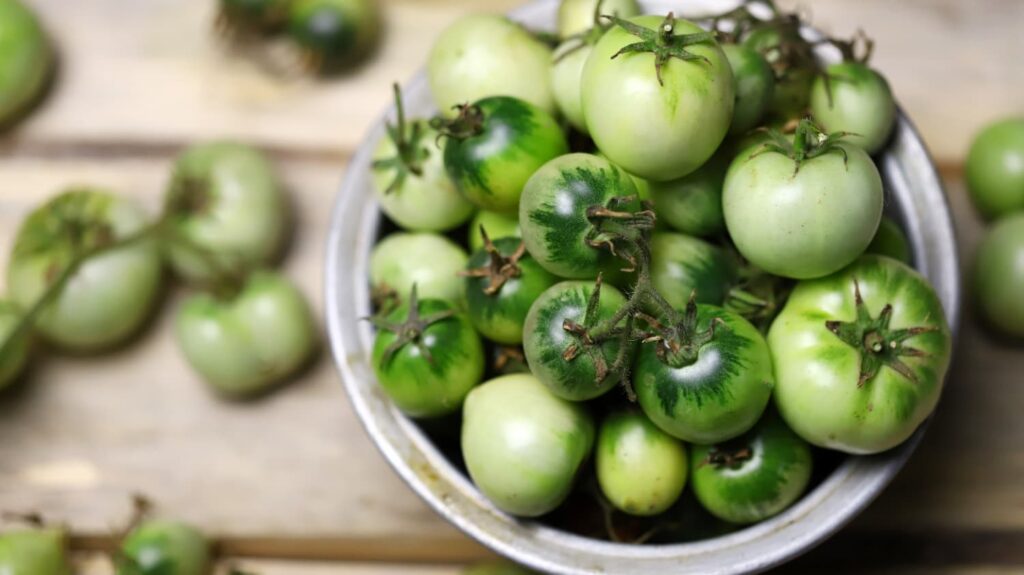 Green tomatoes