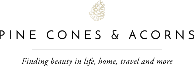 Pinecones and Acorns logo