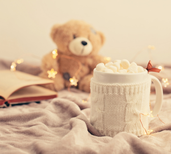 hot chocolate book and a stuffed teddy bear