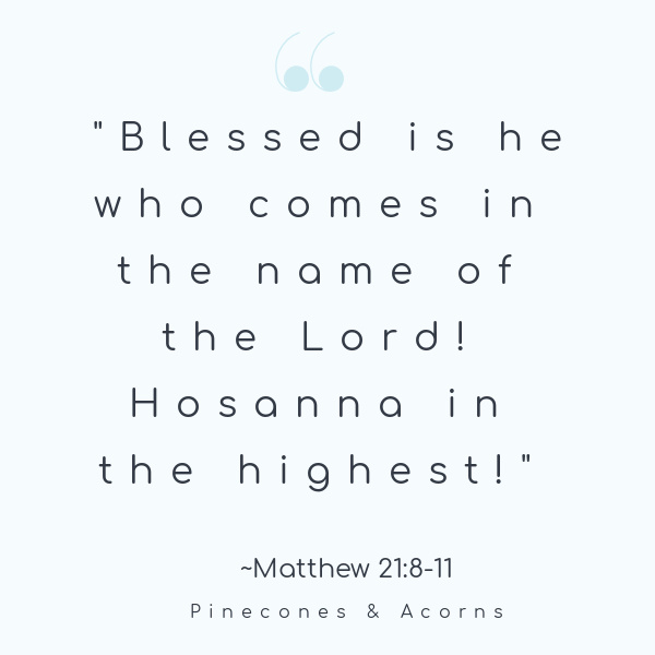 Blessed is he who comes in the name of the lord. Hosanna in the highest!