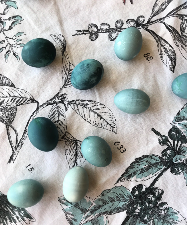 naturally dyed Easter eggs blue on a piece of fabric