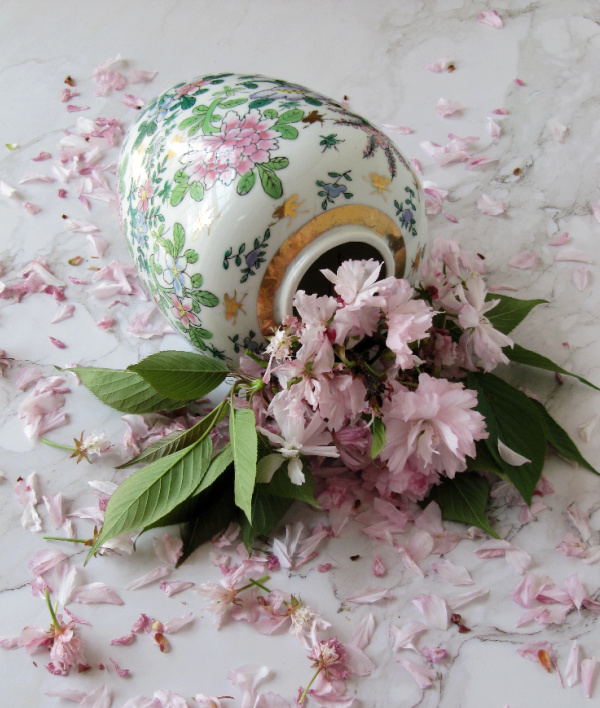 cherry blossoms in a vintage chinoiserie vase 