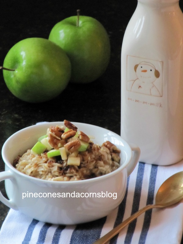 Apple pie oatmeal in a white bowl with two green apples and a milk bottle in the background