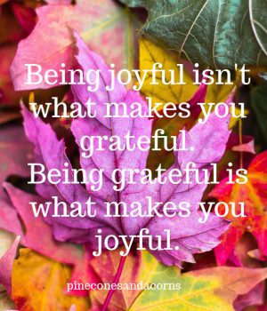 being grateful makes you joyful