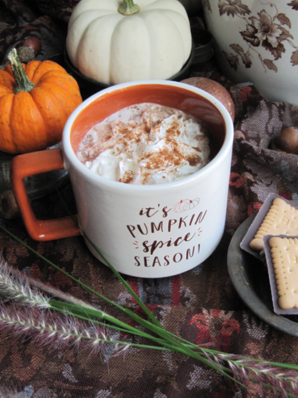 its pumpkin spice season cup filled with hot chocolate surrounded by pumpkins