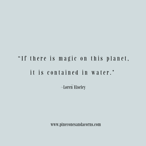 "If there is magic on this planet, it is contained in water." quote