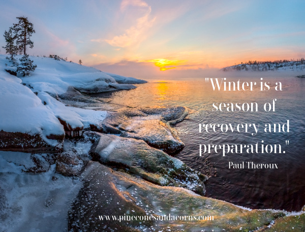 Winter is a season of recovery and preparation. Paul Theroux