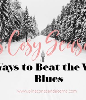 Its cosy season 11 ways to beat the winter blues written over a girl cross country skiing