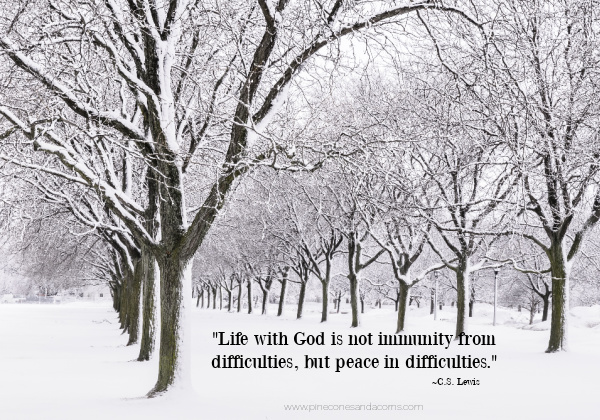 Life with god is not immunity from difficulties but peace in difficulties cs lewis quote over an image of bare trees in the snow