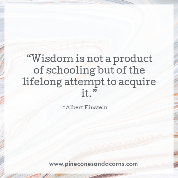 “Wisdom is not a product of schooling but of the lifelong attempt to acquire it.” Albert Einstein