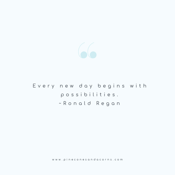 every new day begins with possibilities Ronald Regan