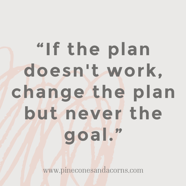 if the plan doesn't work change the plan but never the goal quote