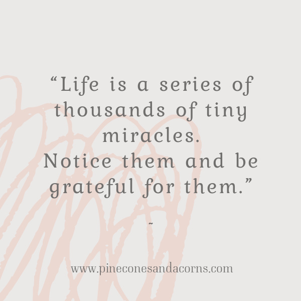 life is a series of thousands of tiny miracles. Notice them and be grateful for them.