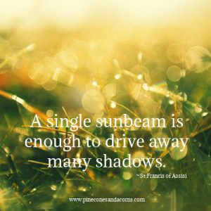 Silent Sunday A single sunbeam is enough to drive away many shades st.Francis of Assisi