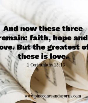 Silent Sunday These three remain_ faith, hope and love. But the greatest of these is love.