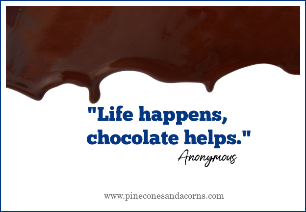 Life Happens chocolate helps quote