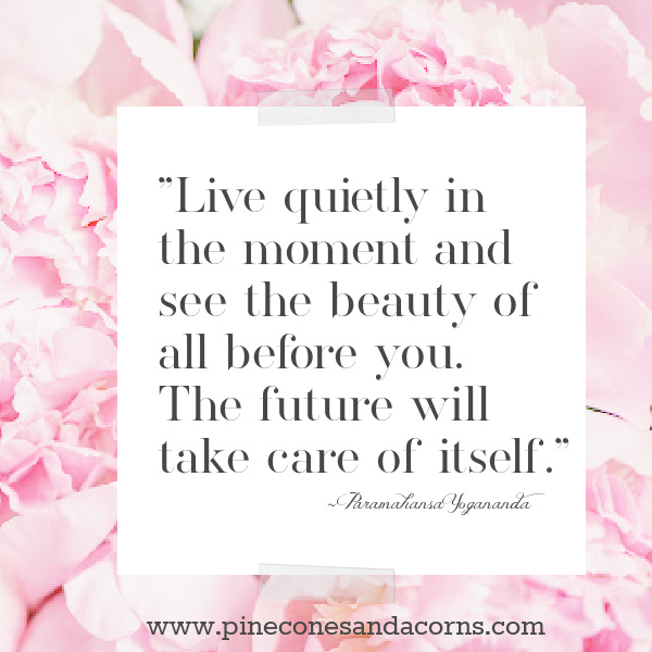 Live quietly in the moment and see the beauty of all before you. The future will take care of itself. quote
