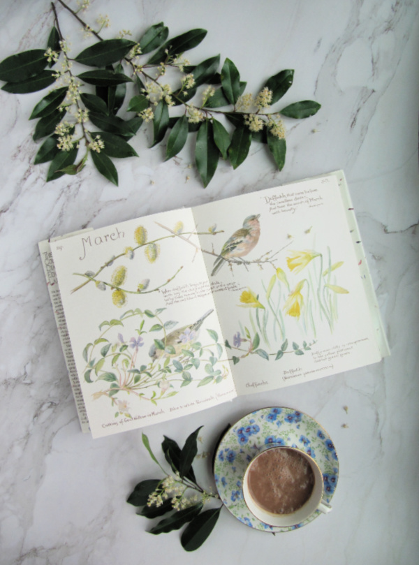 Friday favorites flaylay of flowers book and hot chocolate-2
