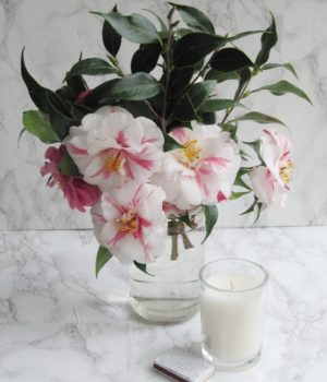 camellia flowers in a vase with a white candle and matches