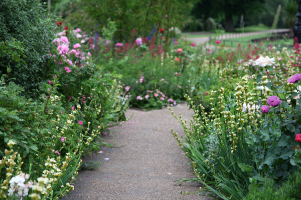path in an English garden