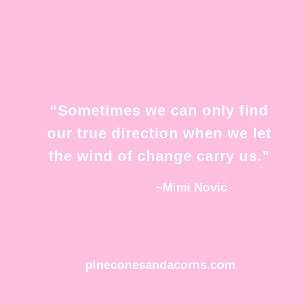 “Sometimes we can only find our true direction when we let the wind of change carry us.” Mimi Novic
