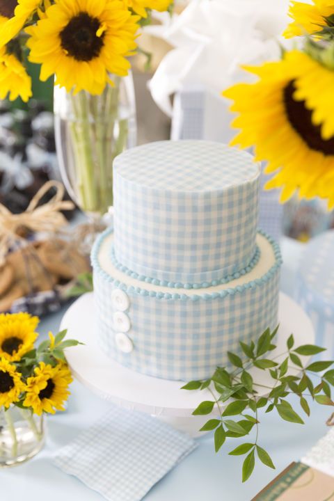 blue and white gingham cake 