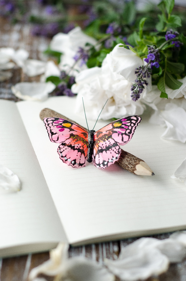 Wednesday wellness journal with flowers and a butterfly