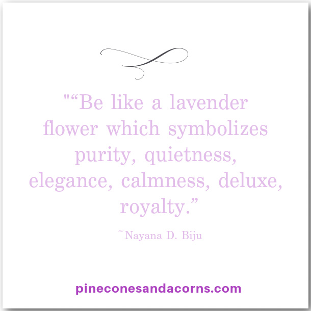 “Be like a lavender flower which symbolizes purity, quietness, elegance, calmness, deluxe, royalty.” Nayana D. Biju