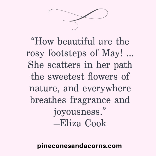 “How beautiful are the rosy footsteps of May! … She scatters in her path the sweetest flowers of nature, and everywhere breathes fragrance and joyousness.” —Eliza Cook