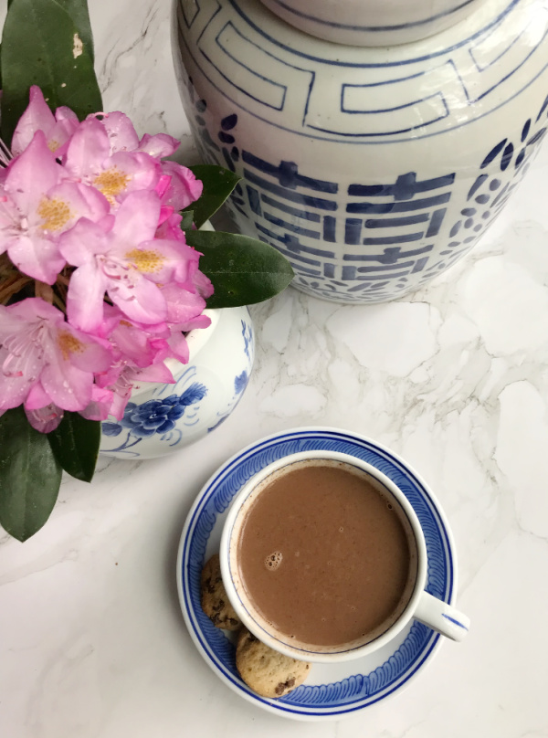 blue and white chinoiserie pots rhododendrons and hot chocolate