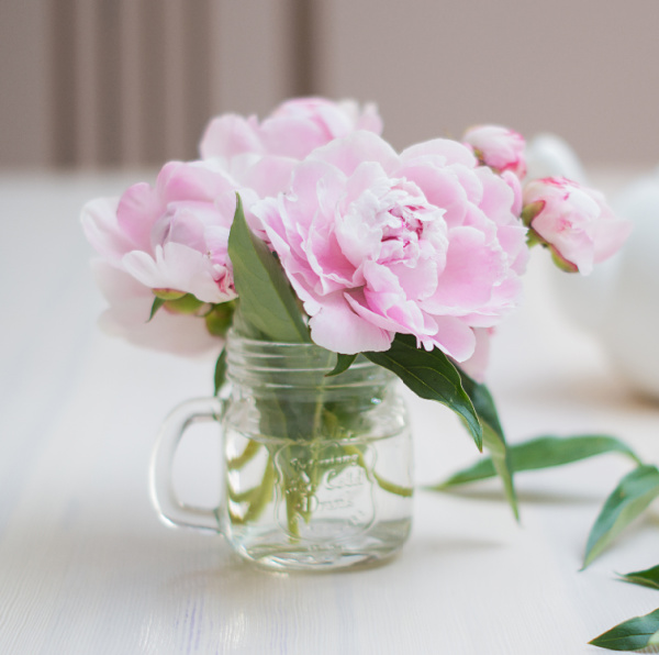 pink peonies in a glass jar