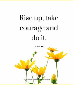 silent Sunday-rise up take courage and do it